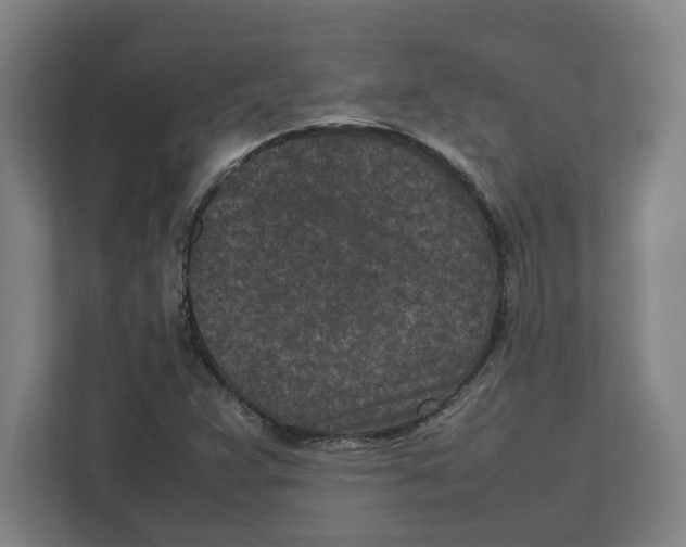 X0000111851359200908201229