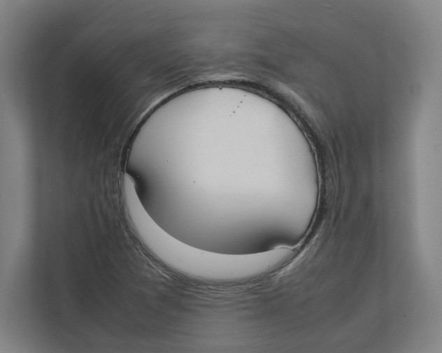 X0000111851361200908201229