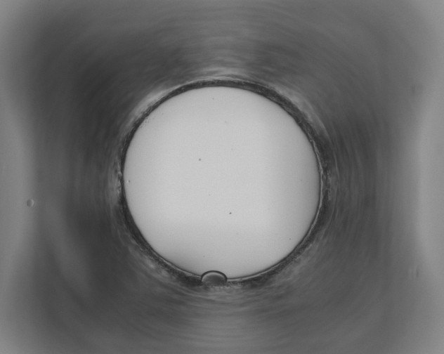 X0000111851363200908201229