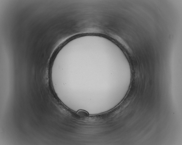 X0000111851364200908201228