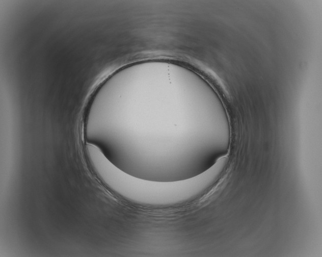 X0000111851365200908201228