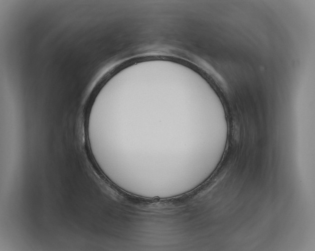 X0000111851368200908201228