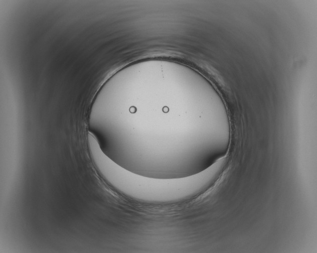 X0000111851369200908201228