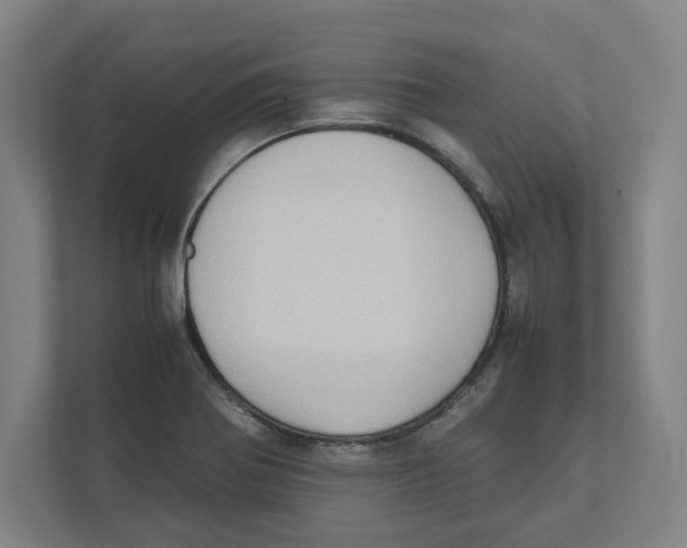 X0000111851370200908201228