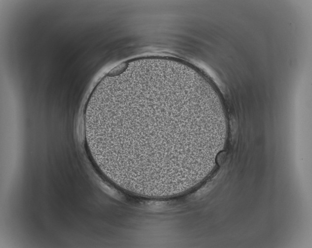 X0000111851371200908201228