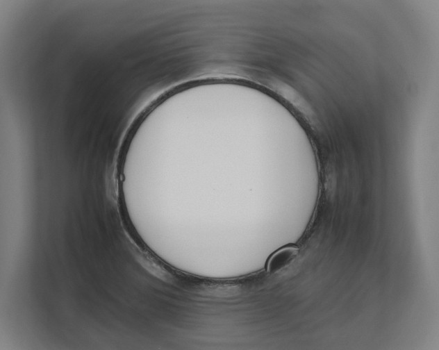 X0000111851372200908201228