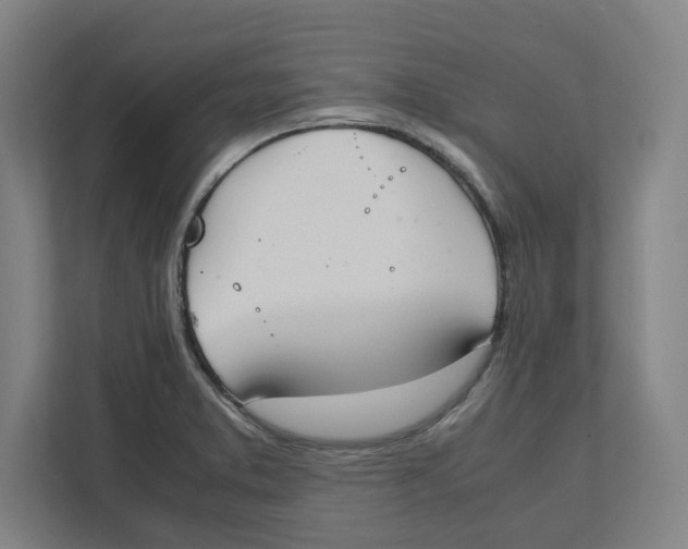 X0000111851373200908201228