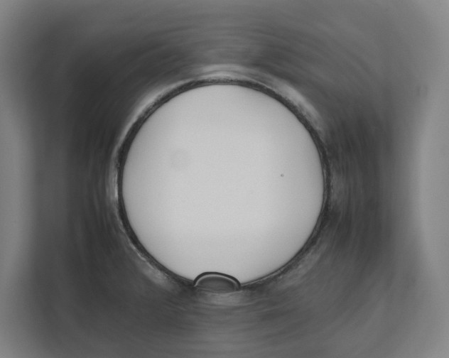 X0000111851376200908201228