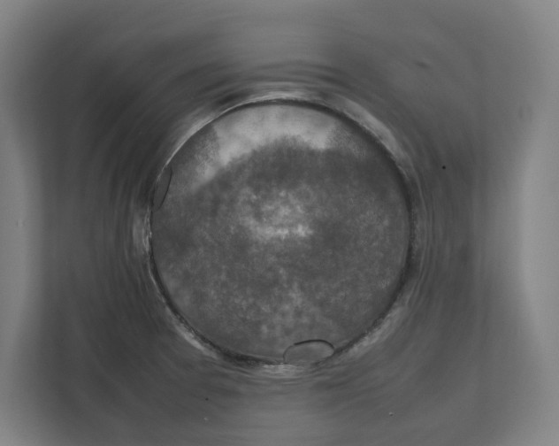 X0000111851377200908201228