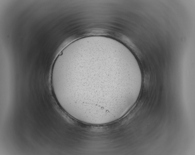 X0000111851378200908201228