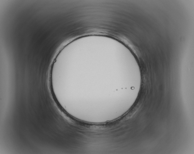 X0000111851379200908201228