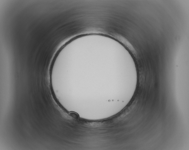 X0000111851380200908201228