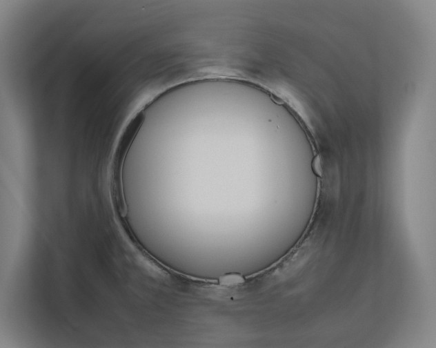 X0000111851381200908201228