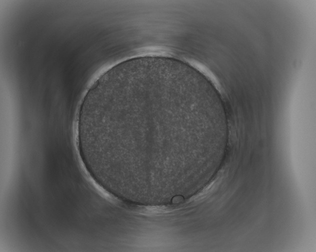 X0000111851383200908201228