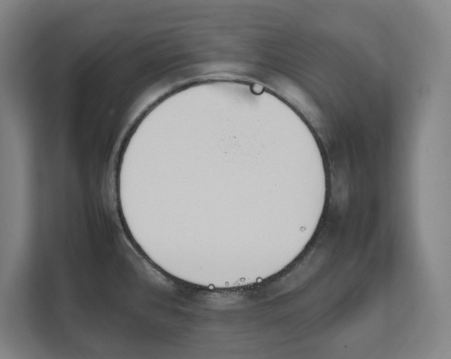 X0000111851384200908201228