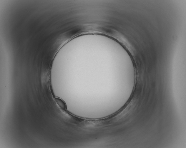 X0000111851385200908201228