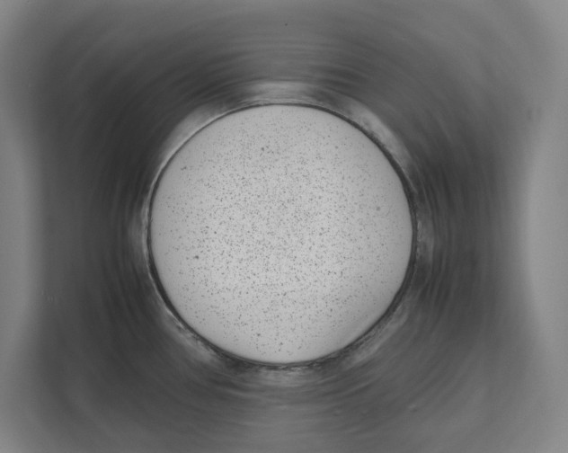 X0000111851386200908201228