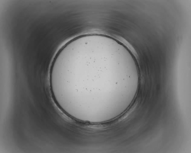 X0000111851388200908201228