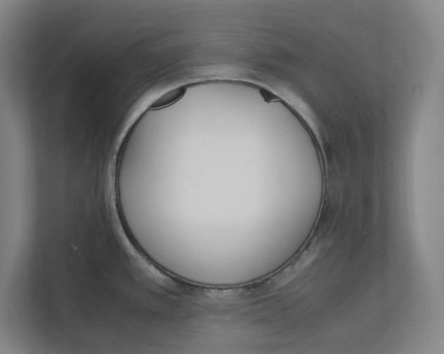 X0000111851389200908201228