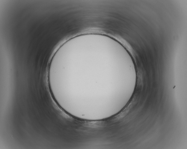 X0000111851390200908201228