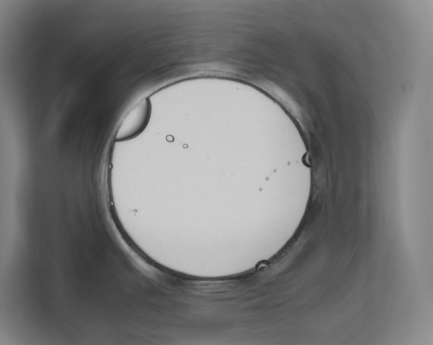 X0000111851391200908201228