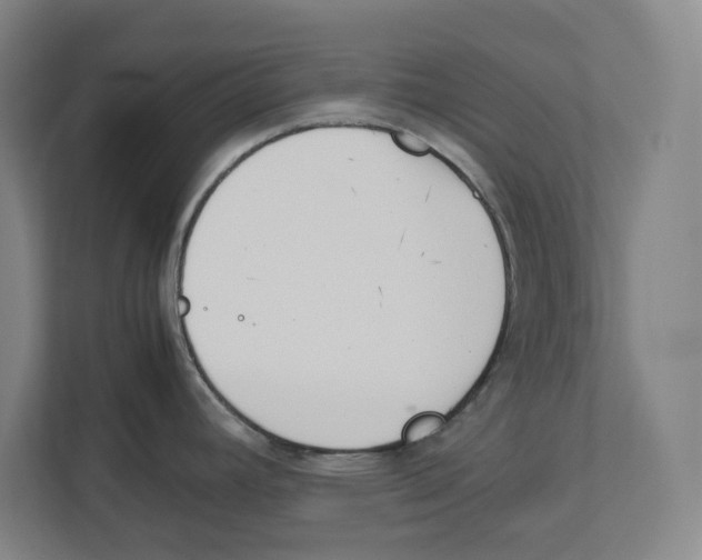 X0000111851392200908201228