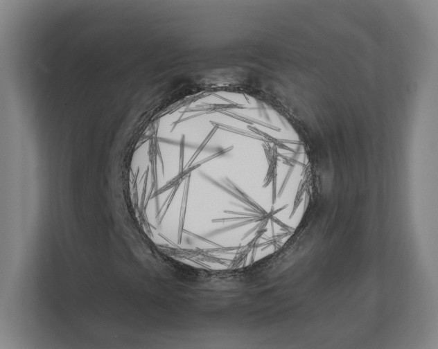 X0000111851393200908201227