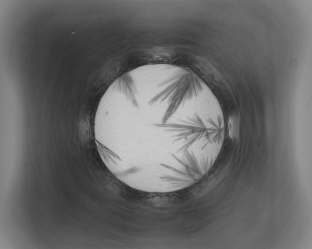 X0000111851395200908201228