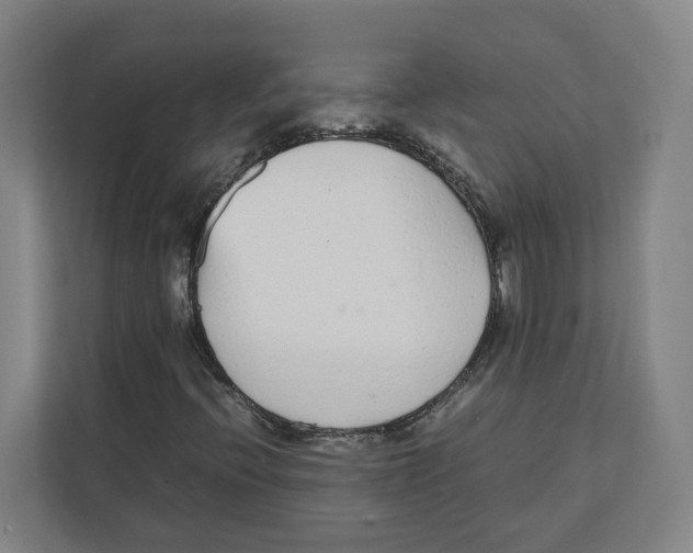 X0000111851396200908201228