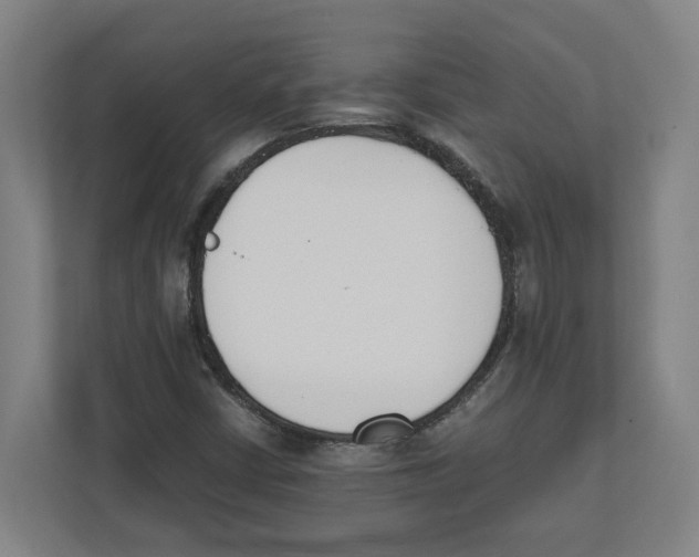 X0000111851402200908201228