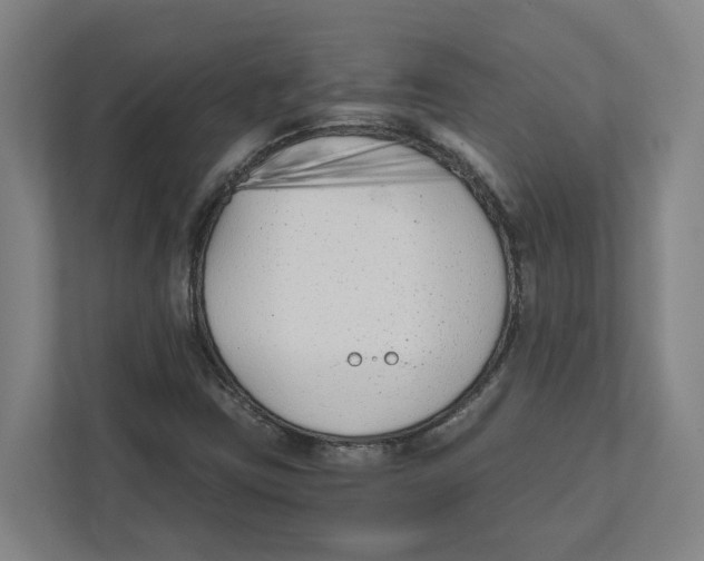 X0000111851403200908201228
