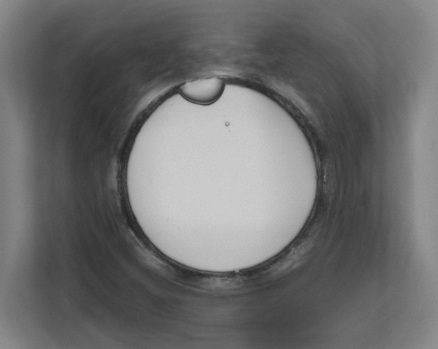 X0000111851404200908201228