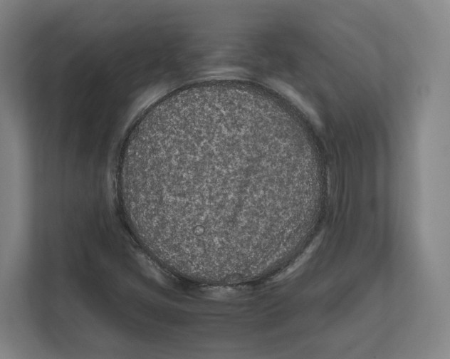 X0000111851405200908201228