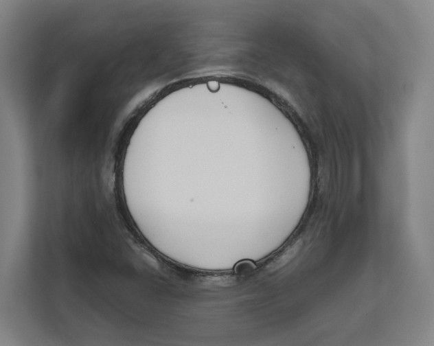 X0000111851406200908201228