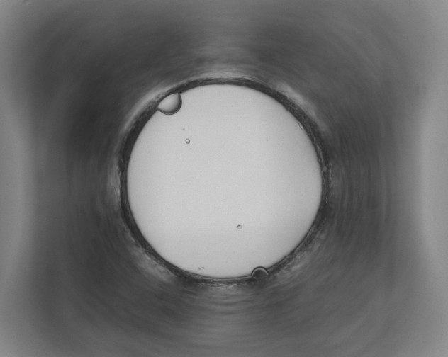 X0000111851408200908201228