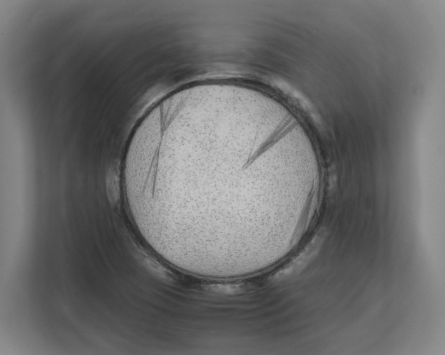 X0000111851409200908201228