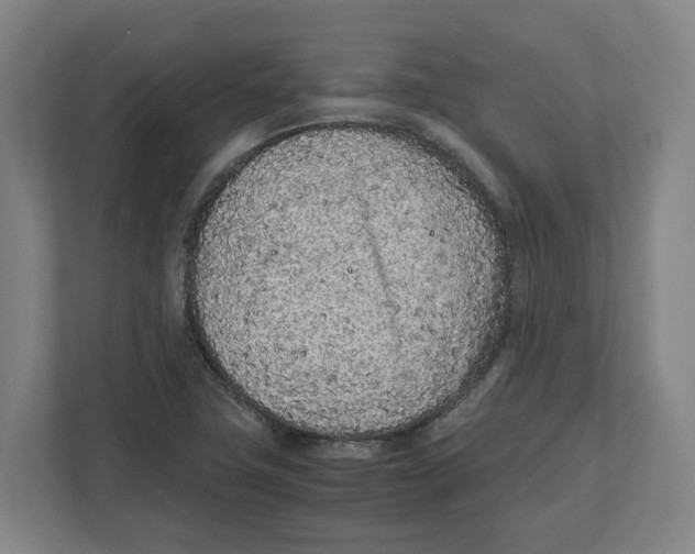 X0000111851411200908201228