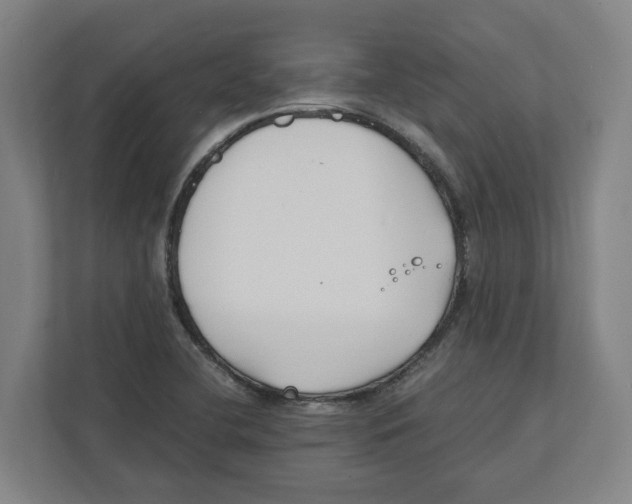 X0000111851412200908201228