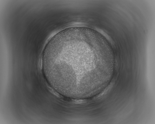 X0000111851413200908201228