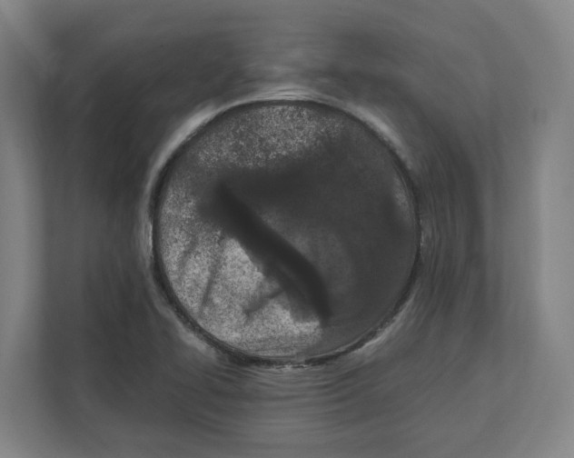 X0000111851414200908201228