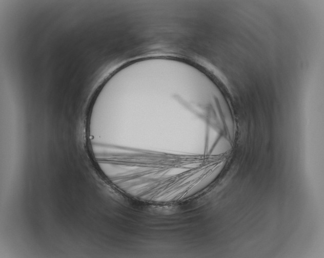 X0000111851415200908201228