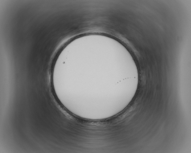 X0000111851416200908201228