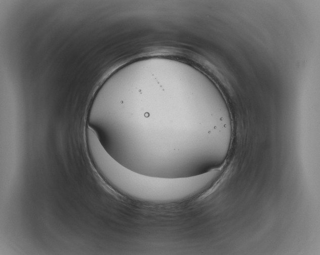 X0000111851417200908201228