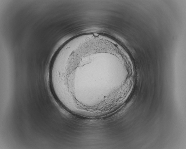 X0000111851418200908201228