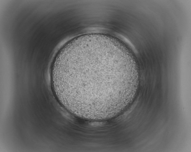 X0000111851419200908201228