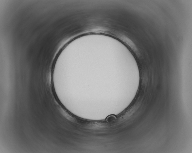 X0000111851420200908201228