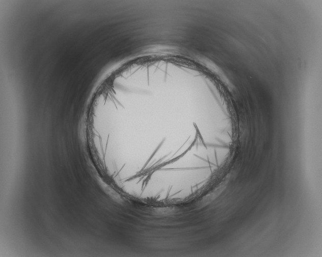 X0000111851421200908201228