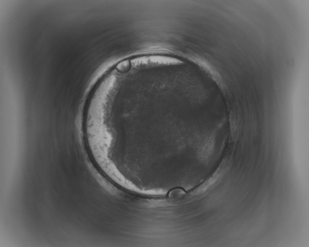 X0000111851422200908201228