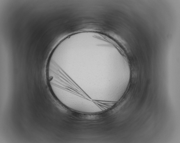 X0000111851423200908201228