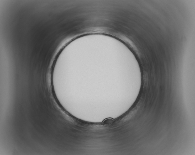 X0000111851424200908201228